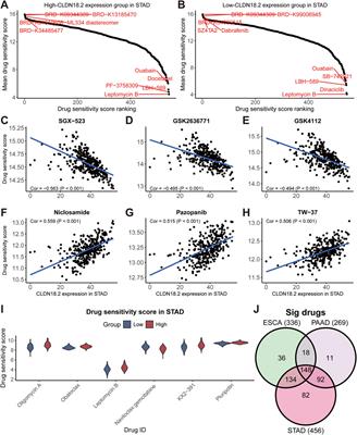 Pan-cancer analysis of CLDN18.2 shed new insights on the targeted therapy of upper gastrointestinal tract cancers